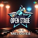 Open Stage Melodies - Vol 43 - Narender Aluna Song Download