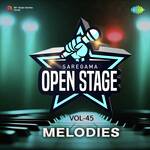 Open Stage Melodies - Vol 45 - Narender Aluna Song Download