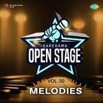 Open Stage Melodies - Vol 30 - Narender Aluna Song Download